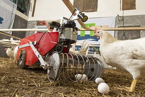 ROVA Automated Egg Collector