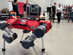 Quadruped Robot